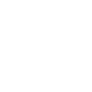 全球观众基础
