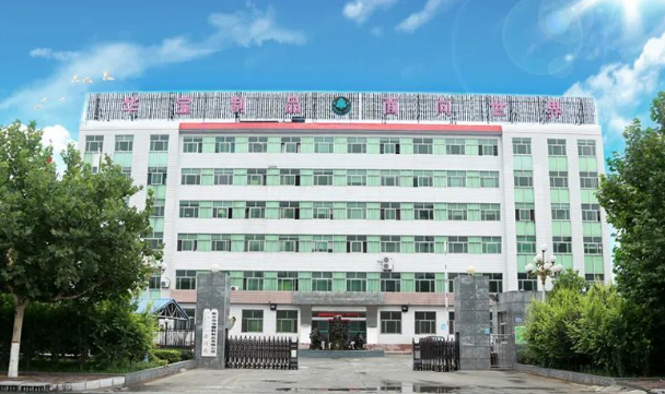 河北国瑞与新乐华宝公司达成海外独立站建设与推广合作