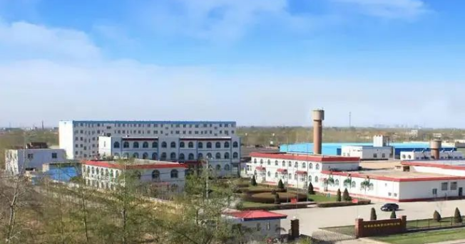 河北国瑞与石家庄市惠康食品有限公司达成海外独立站建设与推广合作