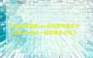 针对关键词的seo优化费用是多少_内部seo优化一般需要多少投入