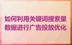 如何利用关键词搜索量数据进行广告投放优化